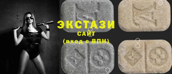 гашик Алексин