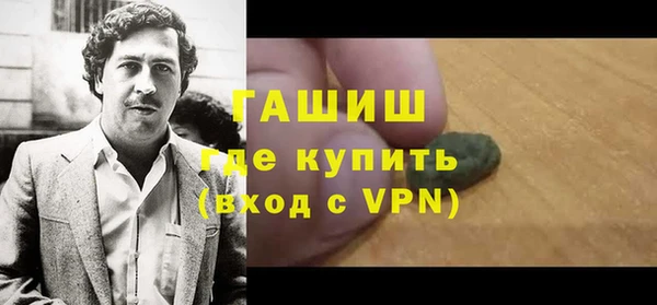 гашик Алексин