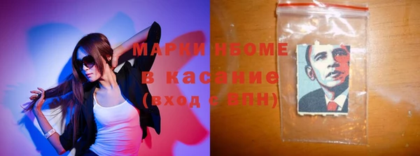 гашик Алексин