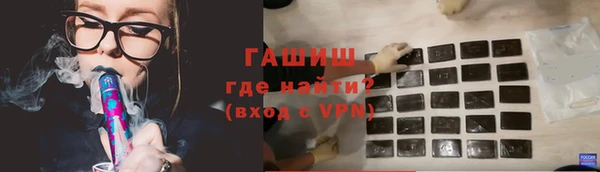 сатива Сатка