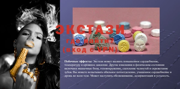 гашик Алексин