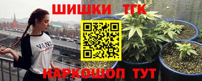 индика Азнакаево