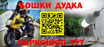 индика Азнакаево