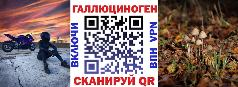 kraken маркетплейс  сколько стоит  Аша  Псилоцибиновые грибы GOLDEN TEACHER 