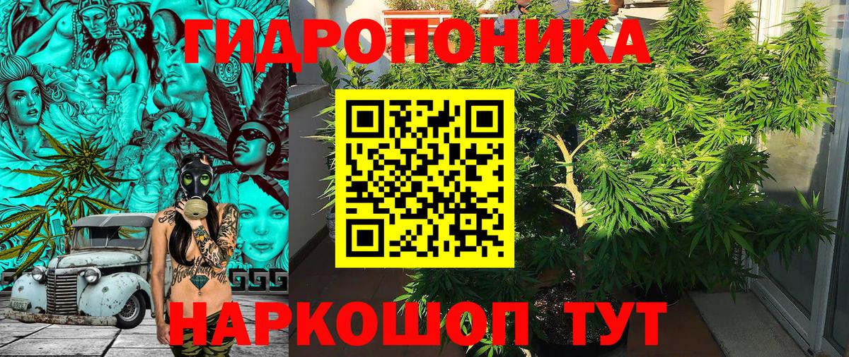 Шишки марихуана LSD WEED Аша