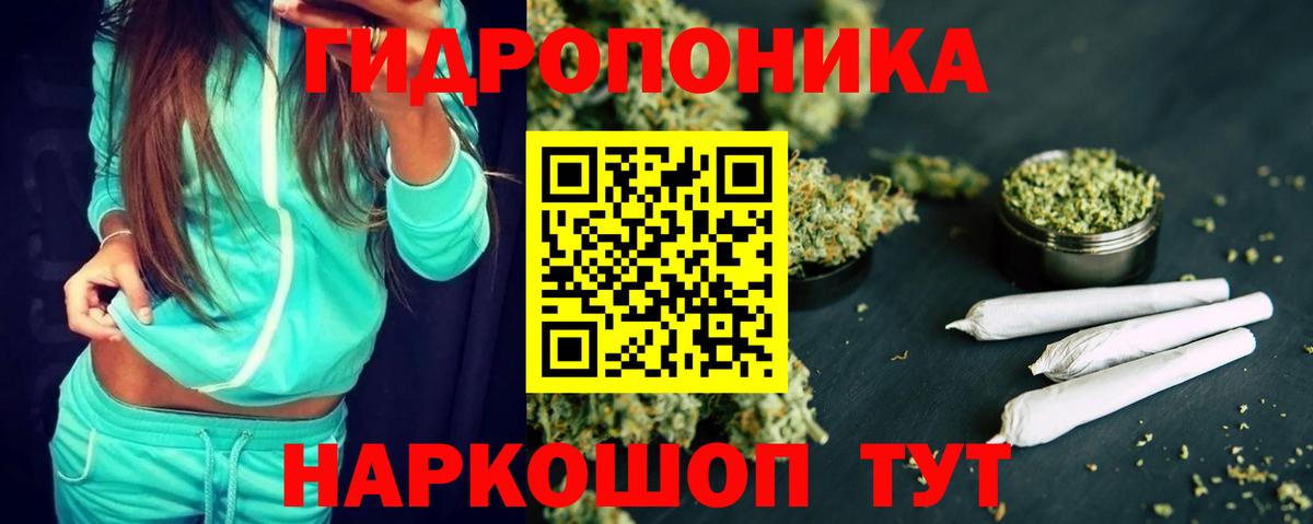 Канабис White Widow  Аша  Каннабис конопля  Канабис план 