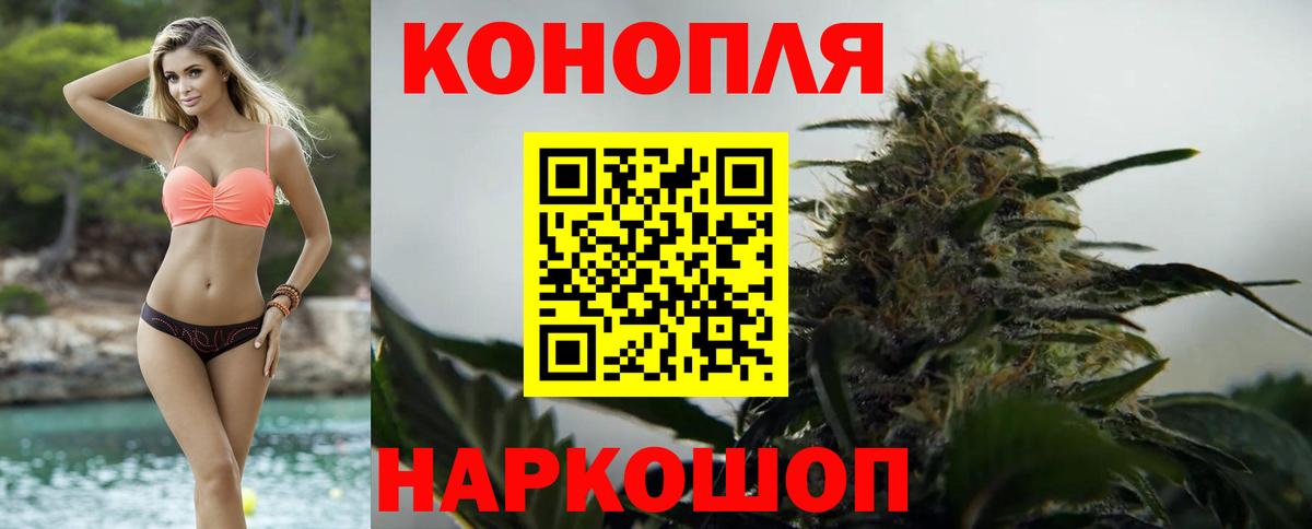 Аша  Шишки марихуана план  Конопля Bruce Banner  Вход с VPN 